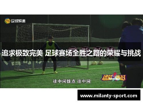 追求极致完美 足球赛场全胜之路的荣耀与挑战